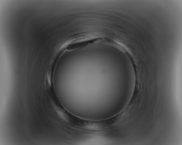 X0000086020062200703301041