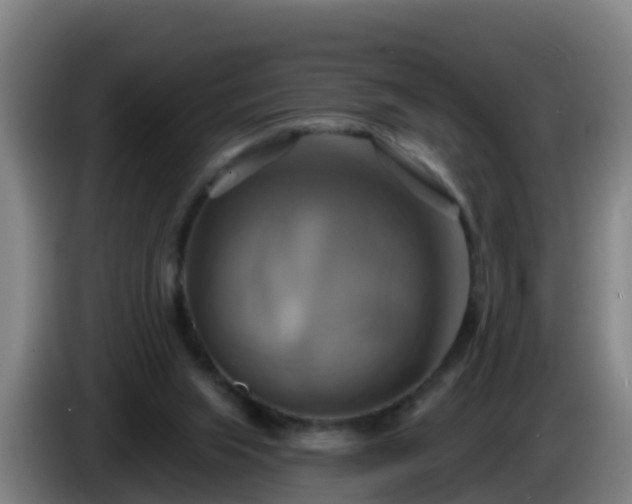 X0000086020063200703301041