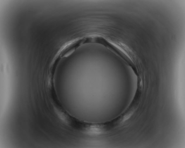 X0000086020064200703301041