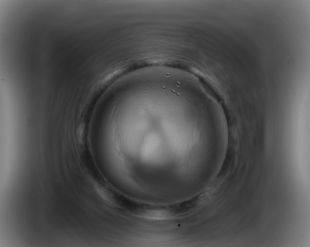 X0000086020066200703301041