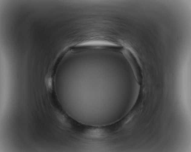 X0000086020067200703301041