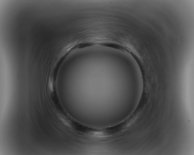 X0000086020068200703301041