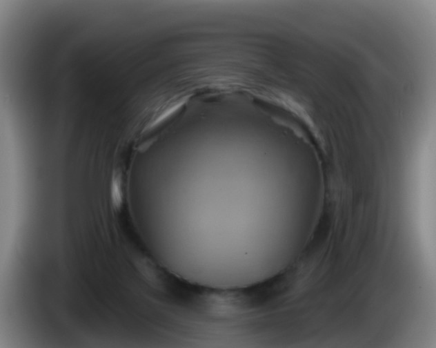 X0000086020069200703301041