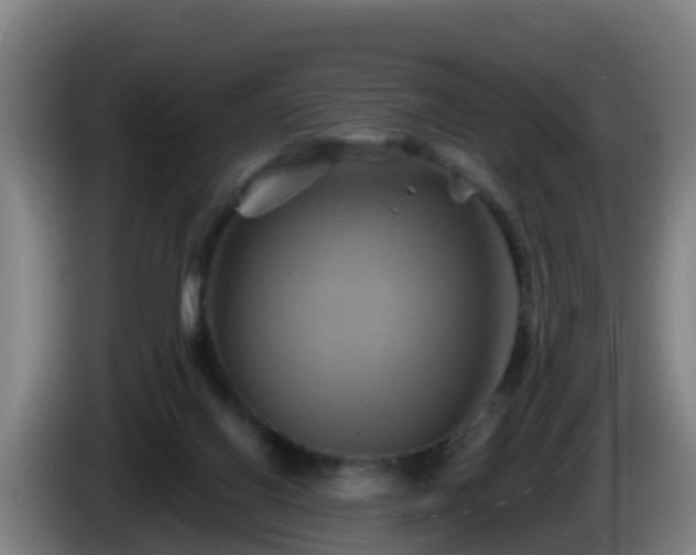 X0000086020070200703301041