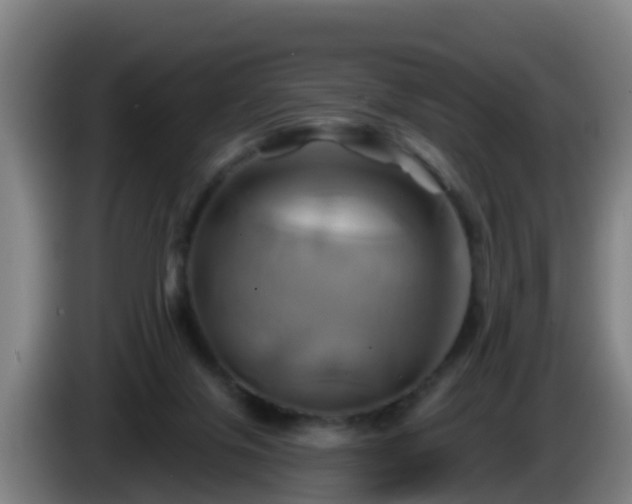 X0000086020071200703301041