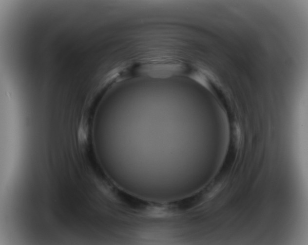 X0000086020072200703301041