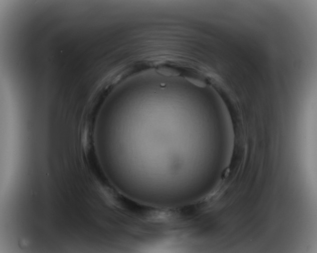 X0000086020074200703301041