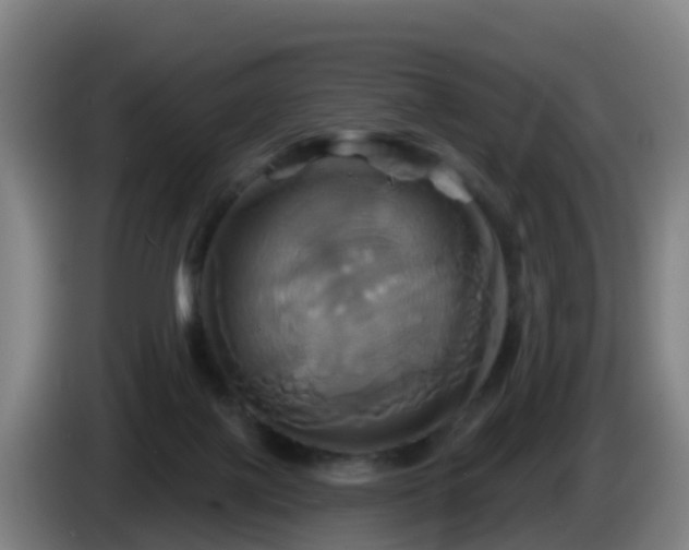 X0000086020075200703301041