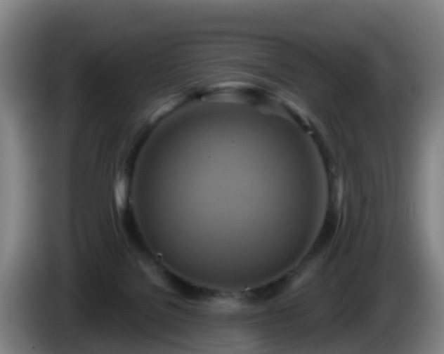 X0000086020076200703301041