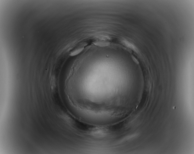 X0000086020077200703301041