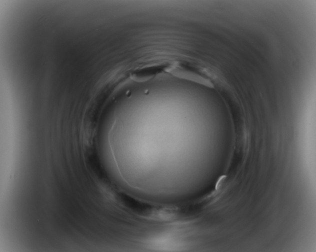 X0000086020078200703301041