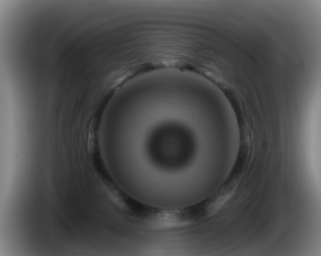 X0000086020080200703301041