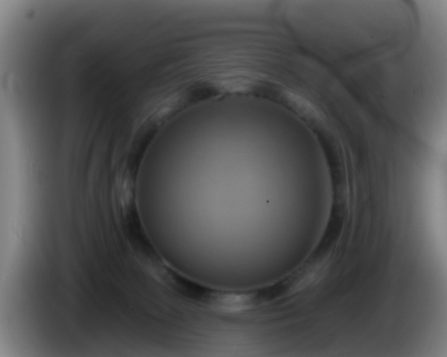 X0000086020081200703301041