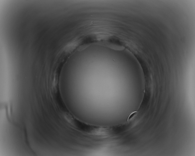 X0000086020082200703301041