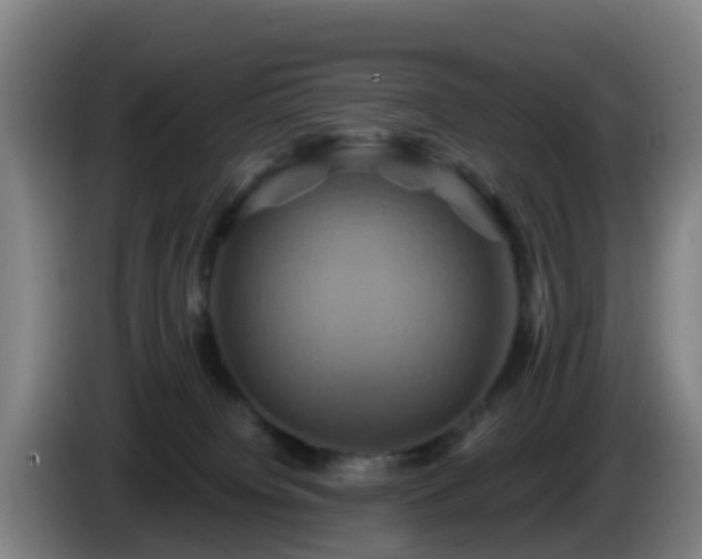 X0000086020084200703301041