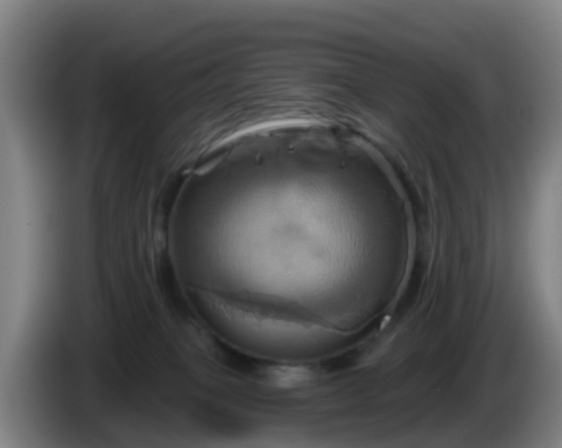 X0000086020085200703301042