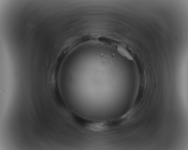 X0000086020086200703301042