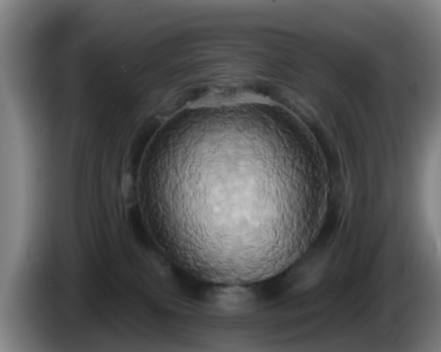 X0000086020087200703301042