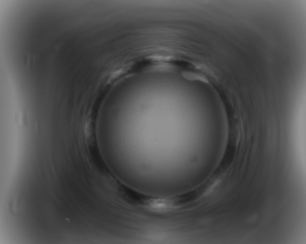 X0000086020088200703301042