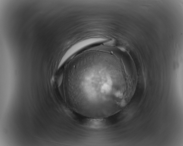 X0000086020089200703301042