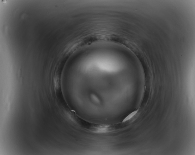 X0000086020090200703301042