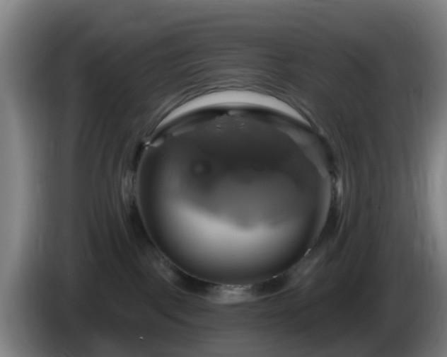 X0000086020093200703301042
