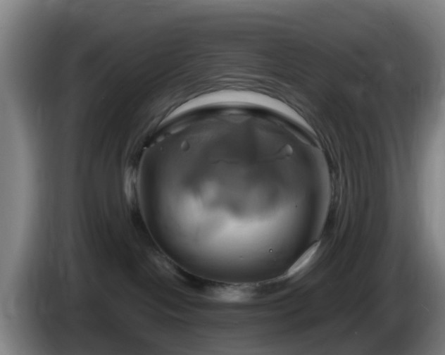 X0000086020094200703301042