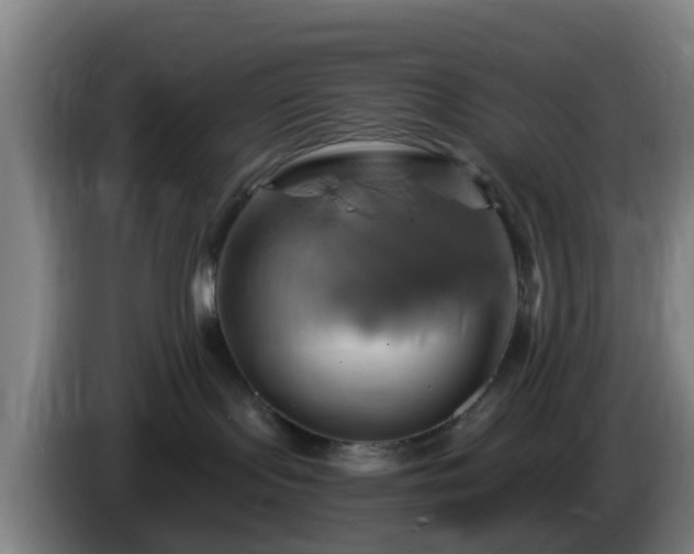X0000086020095200703301042