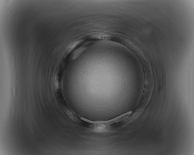 X0000086020096200703301042