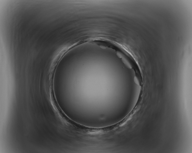 X0000086020097200703301041