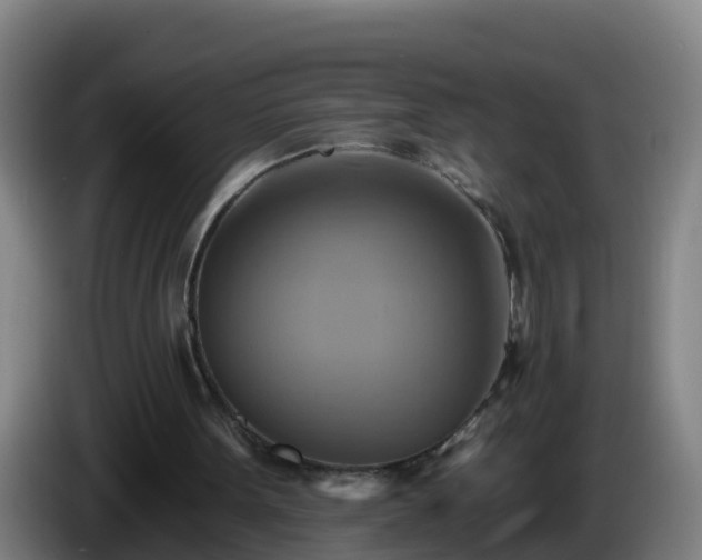 X0000086020099200703301041