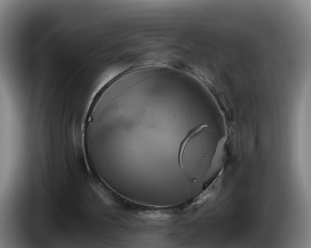 X0000086020100200703301041