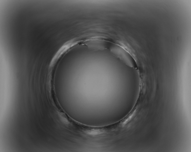 X0000086020101200703301041