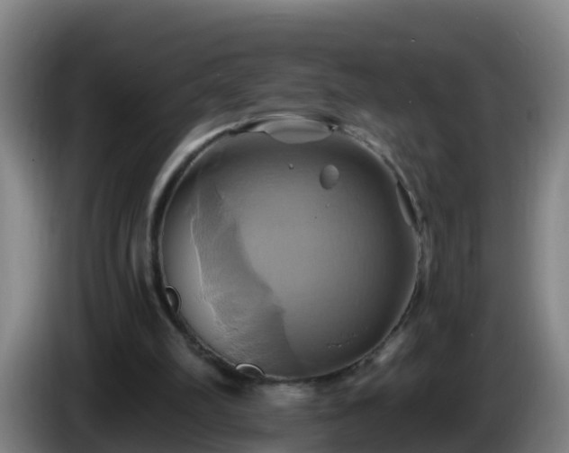 X0000086020102200703301041