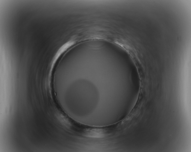 X0000086020104200703301041
