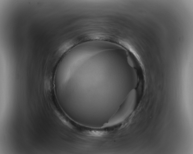 X0000086020105200703301041