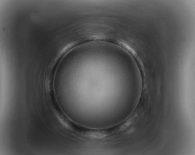X0000086020106200703301041