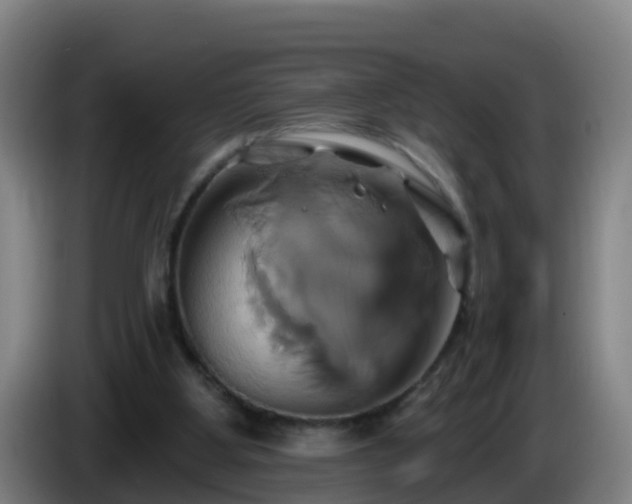 X0000086020107200703301041