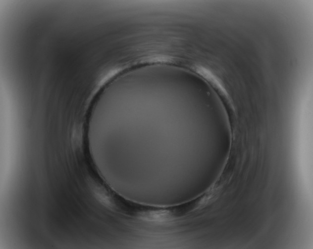 X0000086020108200703301041