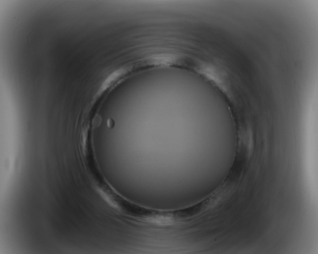 X0000086020110200703301041