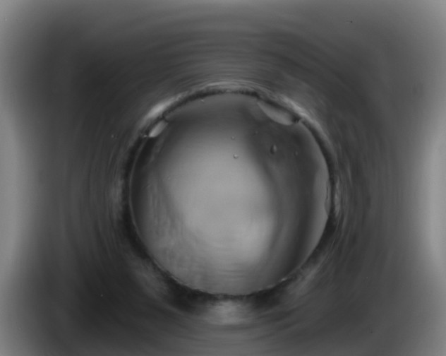 X0000086020111200703301041