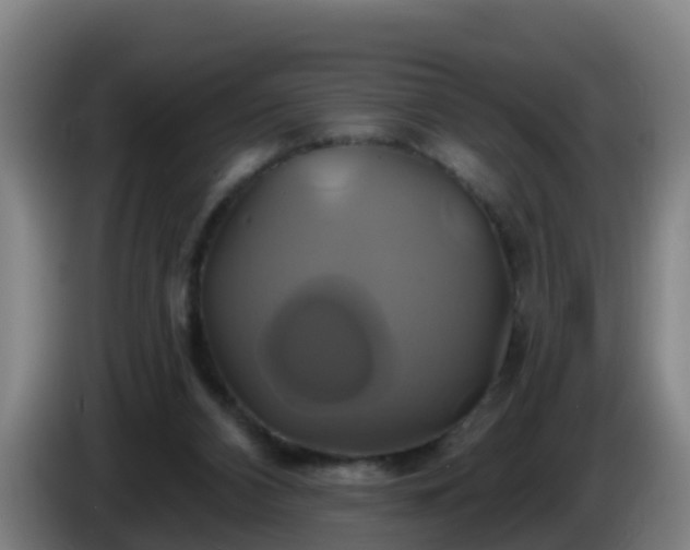X0000086020112200703301041