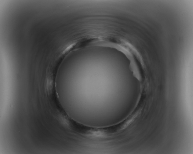 X0000086020113200703301041
