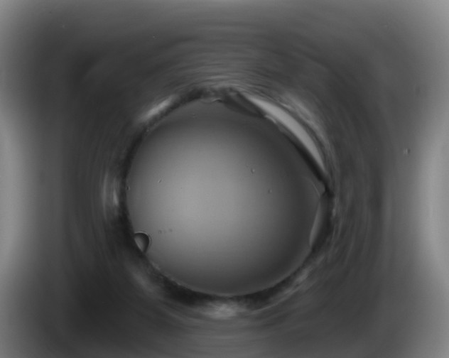 X0000086020115200703301041
