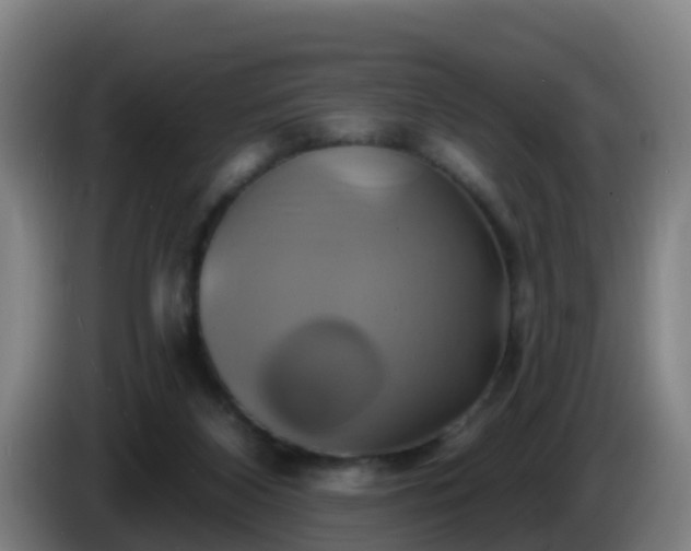 X0000086020116200703301041