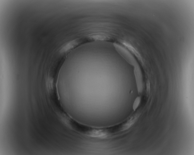X0000086020117200703301041