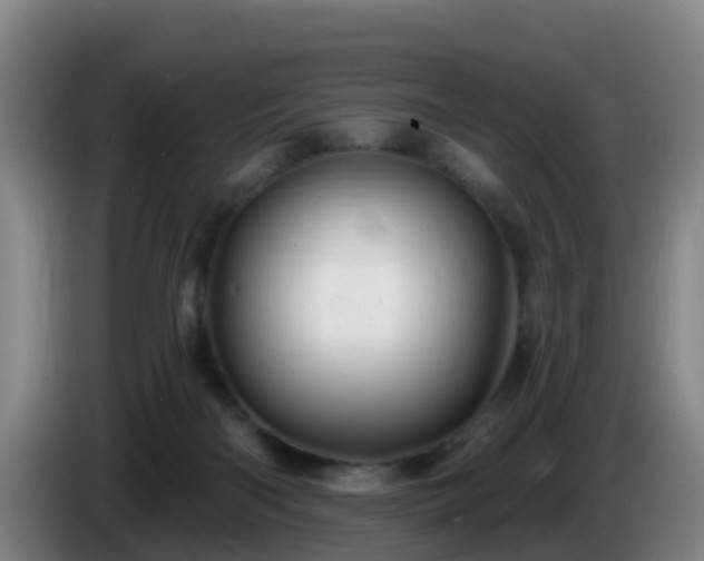 X0000086020122200703301041