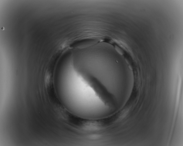X0000086020123200703301041