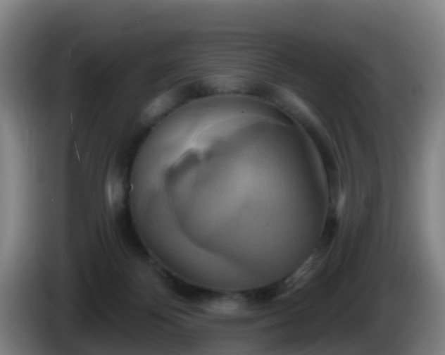 X0000086020124200703301041