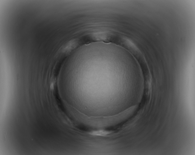 X0000086020125200703301041